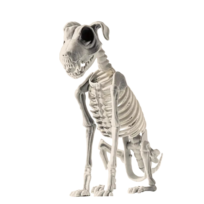 Halloween Dog Skeleton Decoration