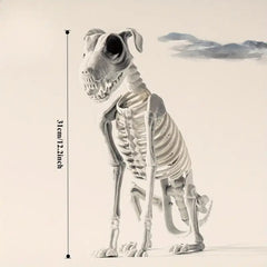 Halloween Dog Skeleton Decoration